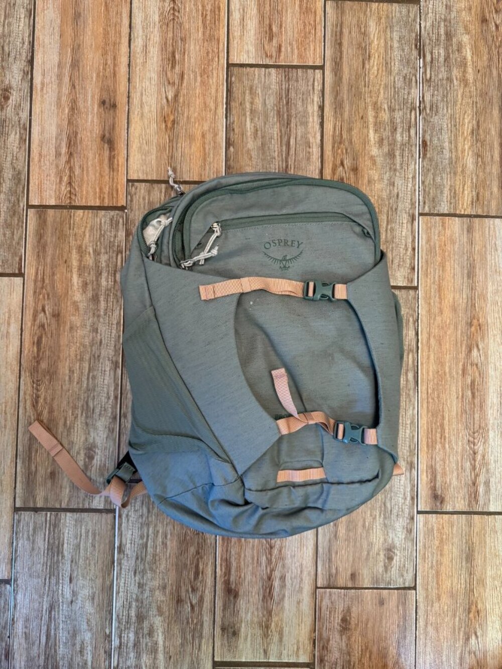 Osprey Proxima Earth Backpack